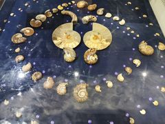 -青岛贝壳博物馆