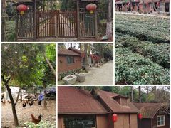 -南京市溧水区傅家边梅花山弄山庄