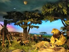 -国家自然博物馆