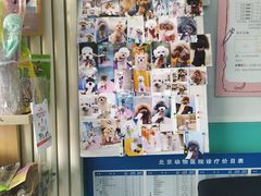 -中农大我爱我爱24h动物医院·中医针灸·猫专科·骨科医疗中心(双井店)