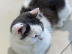 -怪兽屋·羊驼·猫咖·狗咖(俊华广场店)