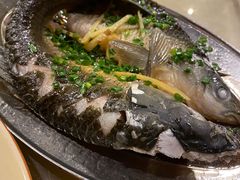 -竹庄餐馆·26年店(南昆山景区店)