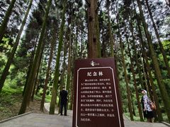 -娄山关景区