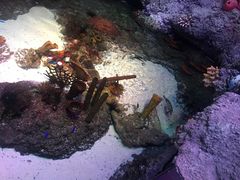 -沈阳海洋探索中心