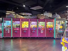 -大鲁阁保龄球(苏州园区店)