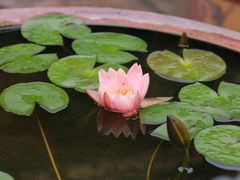 -许驸马府