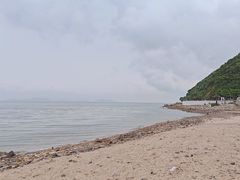-杨梅坑