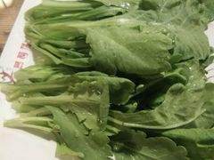 -芦苇荡·酸汤鱼(回龙观店)