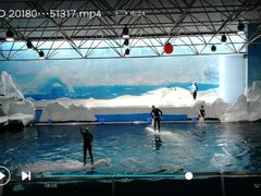 -秦皇岛乐岛海洋王国