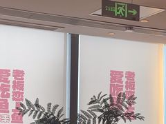 -老板恋上鱼(恒隆广场店)