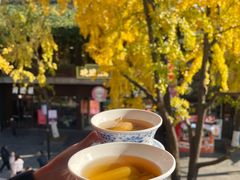 -奇芳阁·百年清真南京菜(夫子庙店)