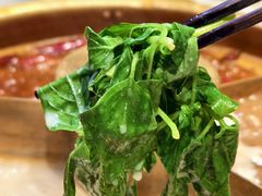 -巴奴毛肚火锅概念餐厅
