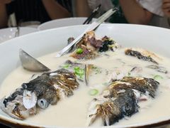 -雅苑中餐厅