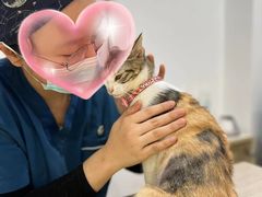 -荔康动物医院(康王北路店)