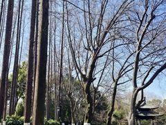 -中国湖笔博物馆(莲花庄路)