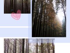 -山王坪喀斯特国家生态公园