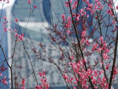 -天鹅湖体育公园