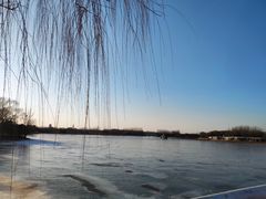 -大兴滨河森林公园