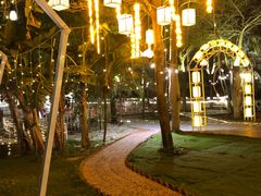 -陶缘一号·四季缘·老字号顺德菜·户外婚礼家宴(西滘店)