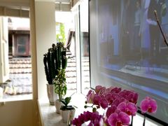 -蝶舍·MAISON PAPILLON