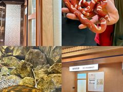 -帕帕拉兹宠物(亚洲旗舰店)