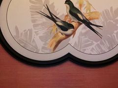 -青泰足浴·SPA养生连锁(新区店)