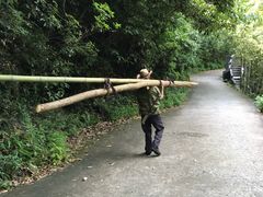 -夏霖九天银瀑风景区