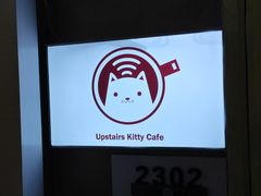 -楼上猫咖(罗湖店)