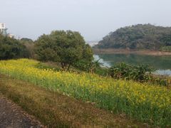 -福建鲤鱼洲酒店