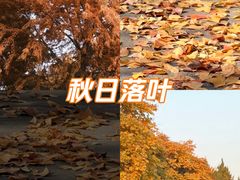 -东莞植物园