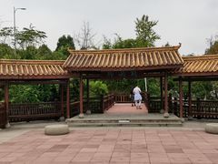 -铁山坪森林公园