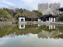 -红梅公园