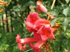 -中国天府农业博览园