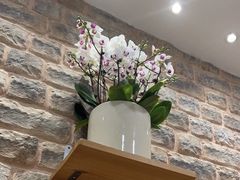 -第六季自助餐厅(王府井店)