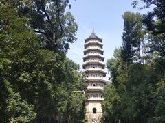 -灵谷景区