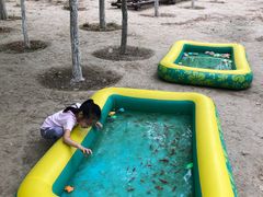 -西青郊野公园