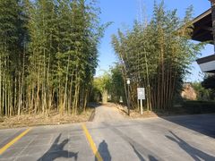 -福建鲤鱼洲酒店