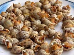 白灼花螺-八方海味餐厅