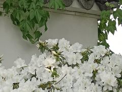 -拙政园