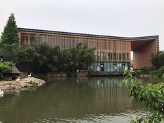-田园东方蜜桃村的田野营地