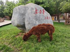 -北京鹿世界主题园