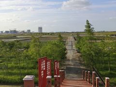 -南汇嘴观海公园