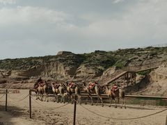 -水洞沟旅游区