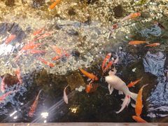 -聚缘堂·海鲜私房菜(松岭路店)