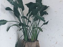 -云里小坐·小院里·团建·宴请·下午茶(三圣乡店)