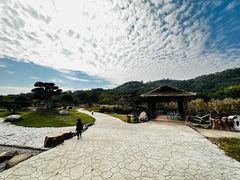 -丹樱生态园