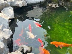 -花神咖啡馆