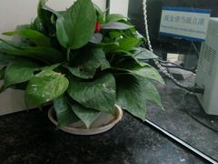 -兴业银行(上海五角场支行)