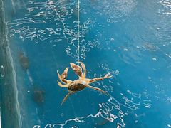 -SHRIMP CLUB万东餐饮钓虾·清吧