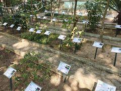 -石排湾郊野公园